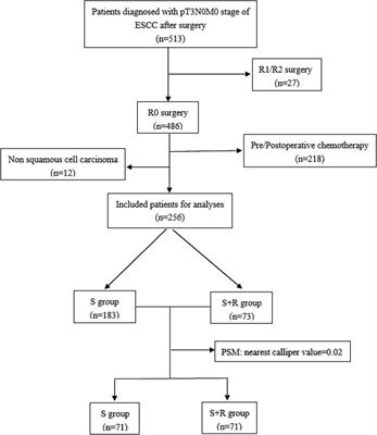 Patterns of failure and long-term outcome of postoperative radiotherapy on the survival of patients with pathological T3N0M0 esophageal cancer